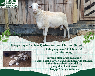 Paket Qurban Istimewa