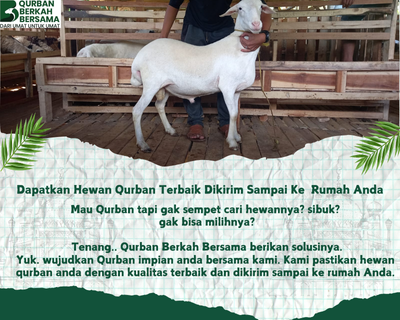 Paket Qurban Istimewa