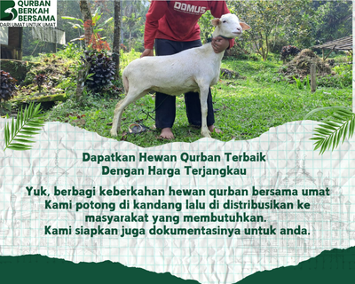 Paket Qurban Istimewa